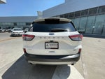 2021 Ford Escape 2.5 SEL Limited At