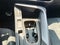 2025 Cupra Terramar 2.0 VZ At