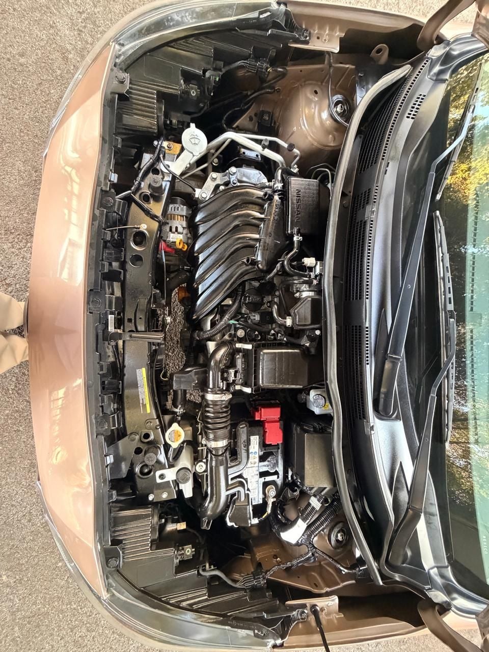 2023 Nissan March 1.6 Advance Mt