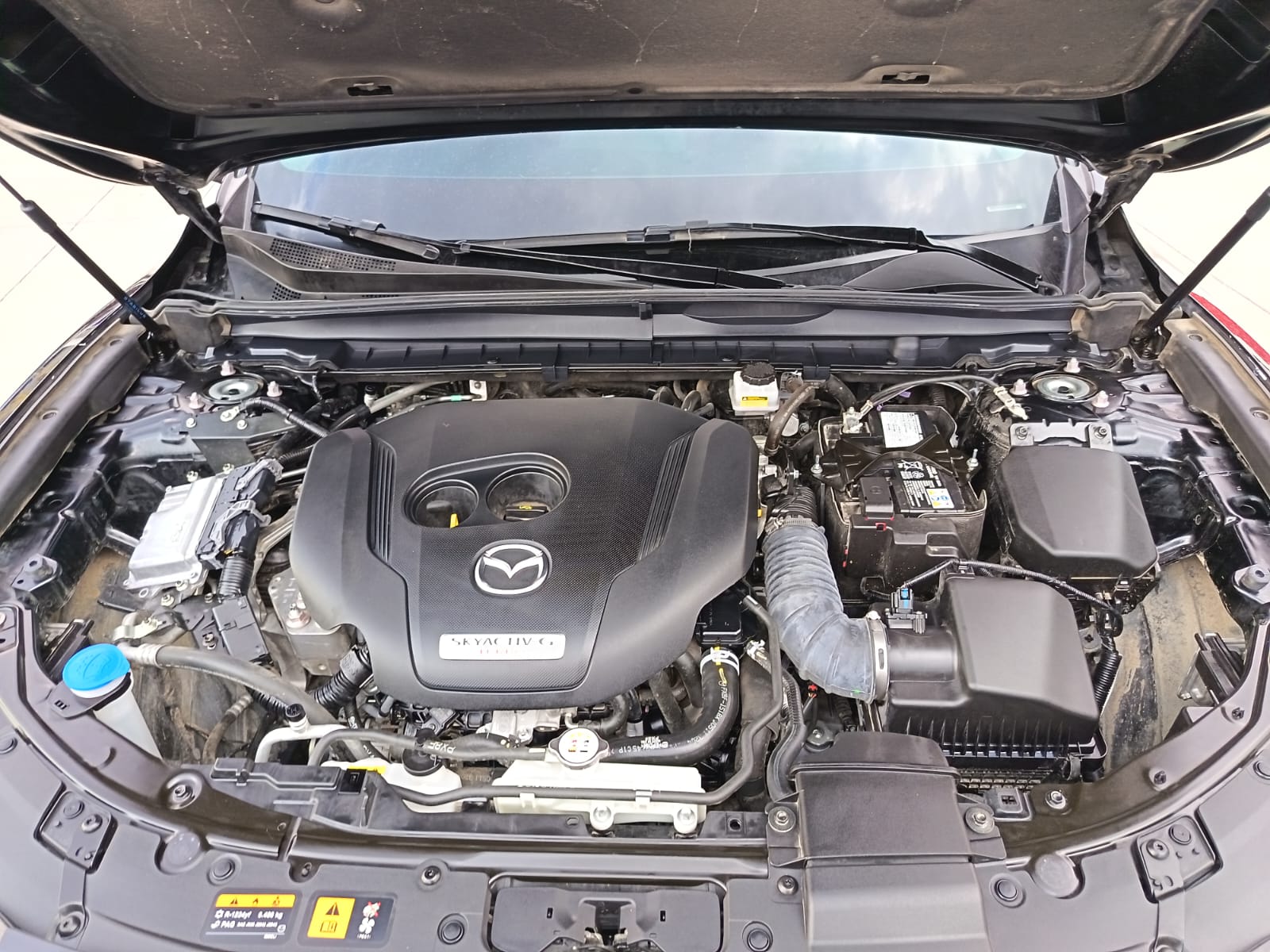 2025 Mazda Mazda CX50 5P SIGNATURE L42.5T AUT