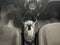 2023 Nissan March 5p Exclusive Bitono L4/1.6 Aut