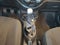 2023 Nissan MARCH ADVANCE TM 23