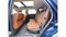 2023 Nissan Pathfinder 3.5 Platinum At