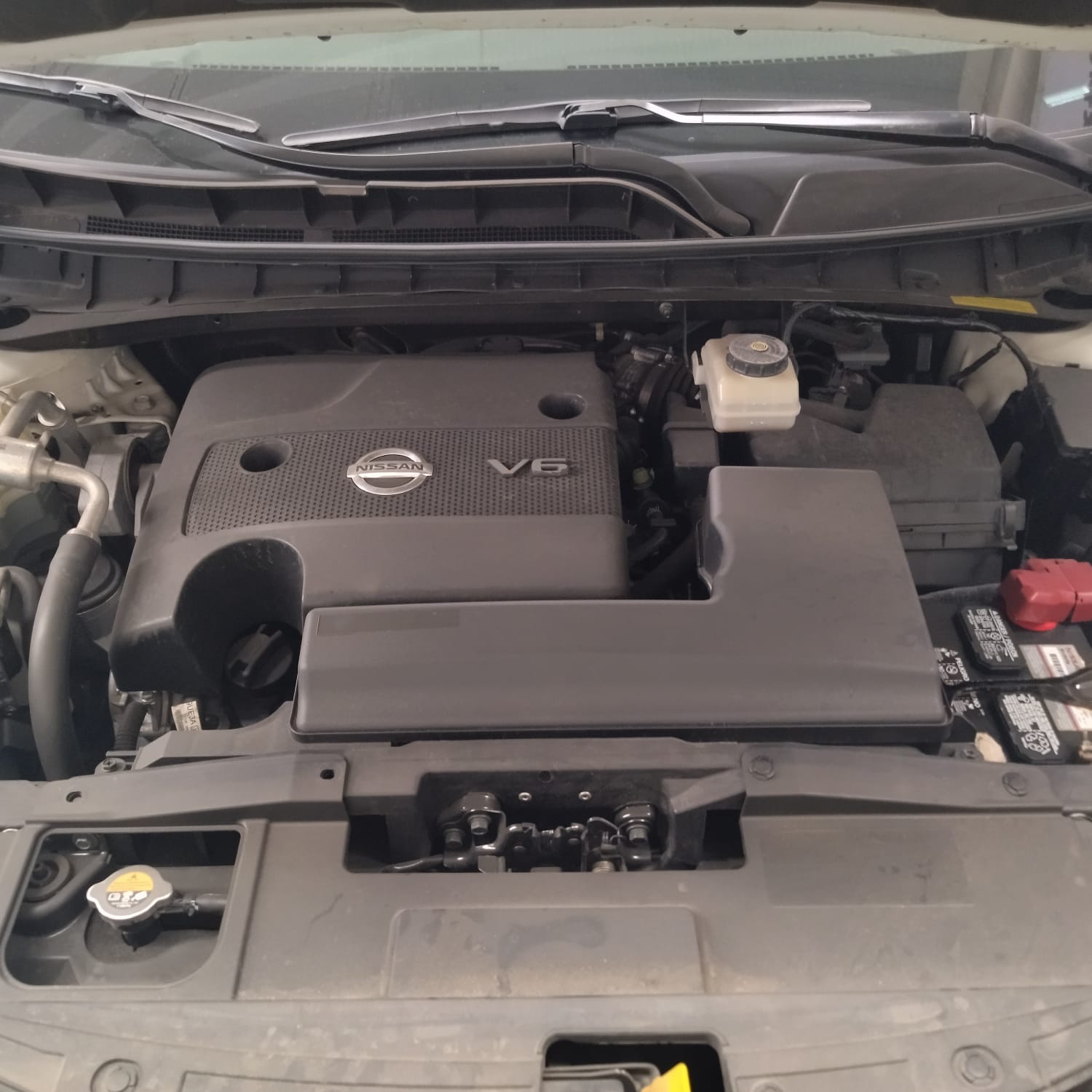 2019 Nissan MURANO 5 PTS EXCLUSIVE CVT GPS PIEL QC RA-20 4X4